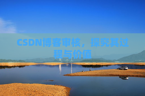CSDN博客审核，探究其过程与价值
