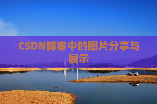 CSDN博客中的图片分享与展示